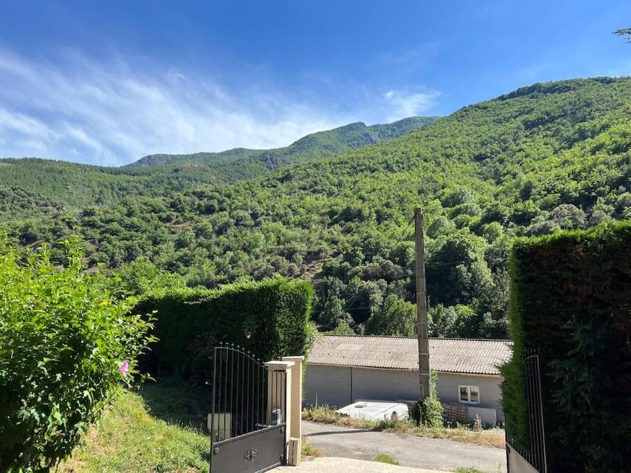Ferienwohnung Charmant Logement Avec Piscine. Valleraugue Exterior foto
